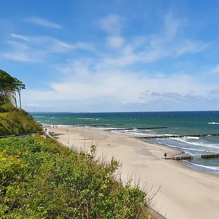Am Gespensterwald Nienhagen (Mecklenburg-Vorpommern)